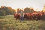 Bow Creek Farm