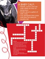 Crossword Puzzle - Beef Activity Book