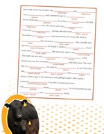 Mad Lib - Beef Activity Book