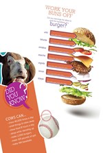 Word Scramble - Beef Activity Book