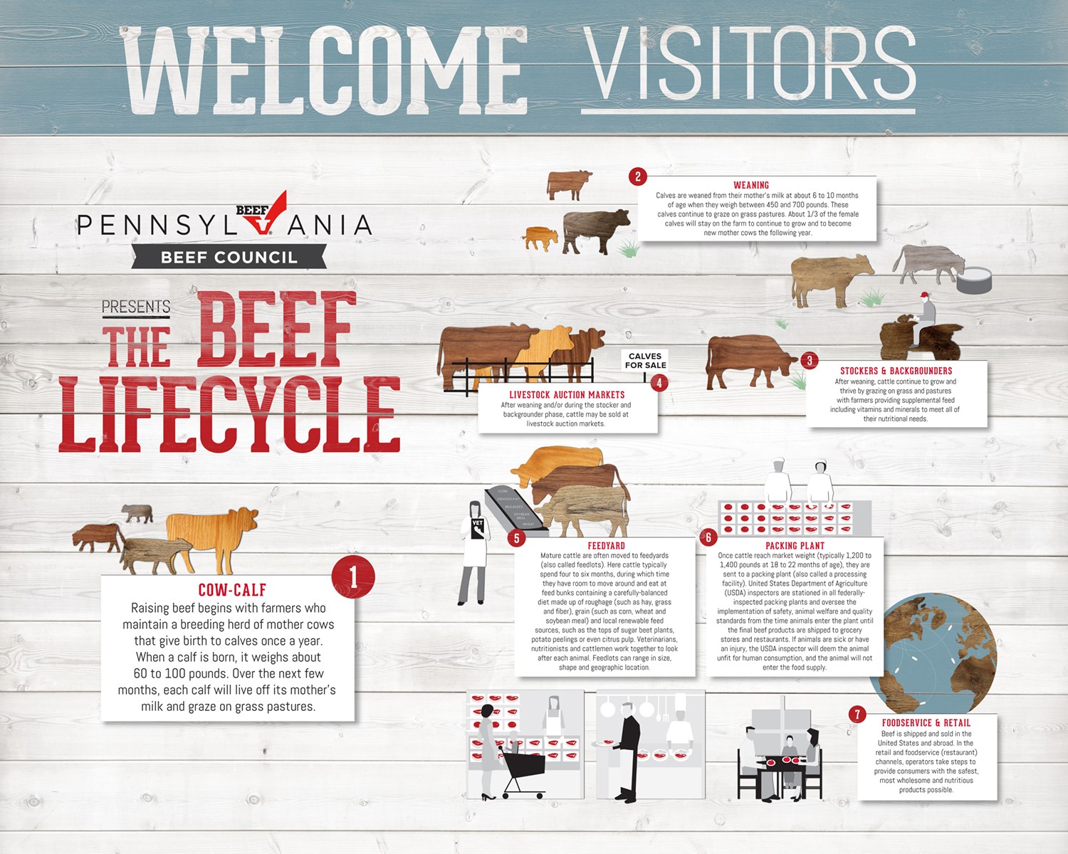 Steer Feeding Chart