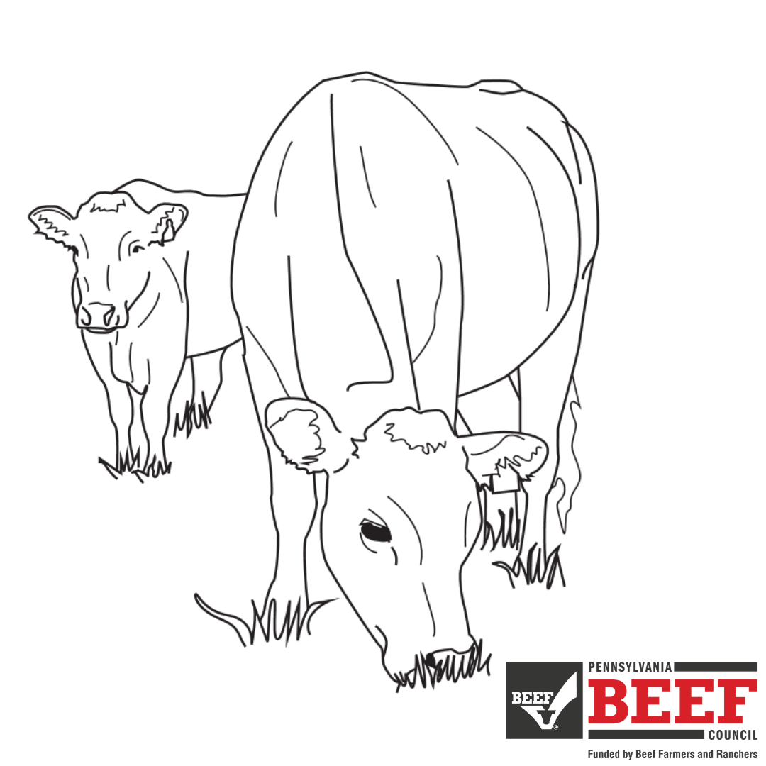 Cow Coloring Pages for Kids. Cow coloring pages for kids provide a…, by  Coloring Corner