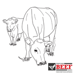 Cow Grazing Coloring Sheet