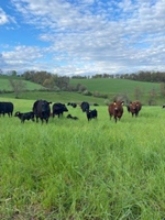 Gray Family Farm