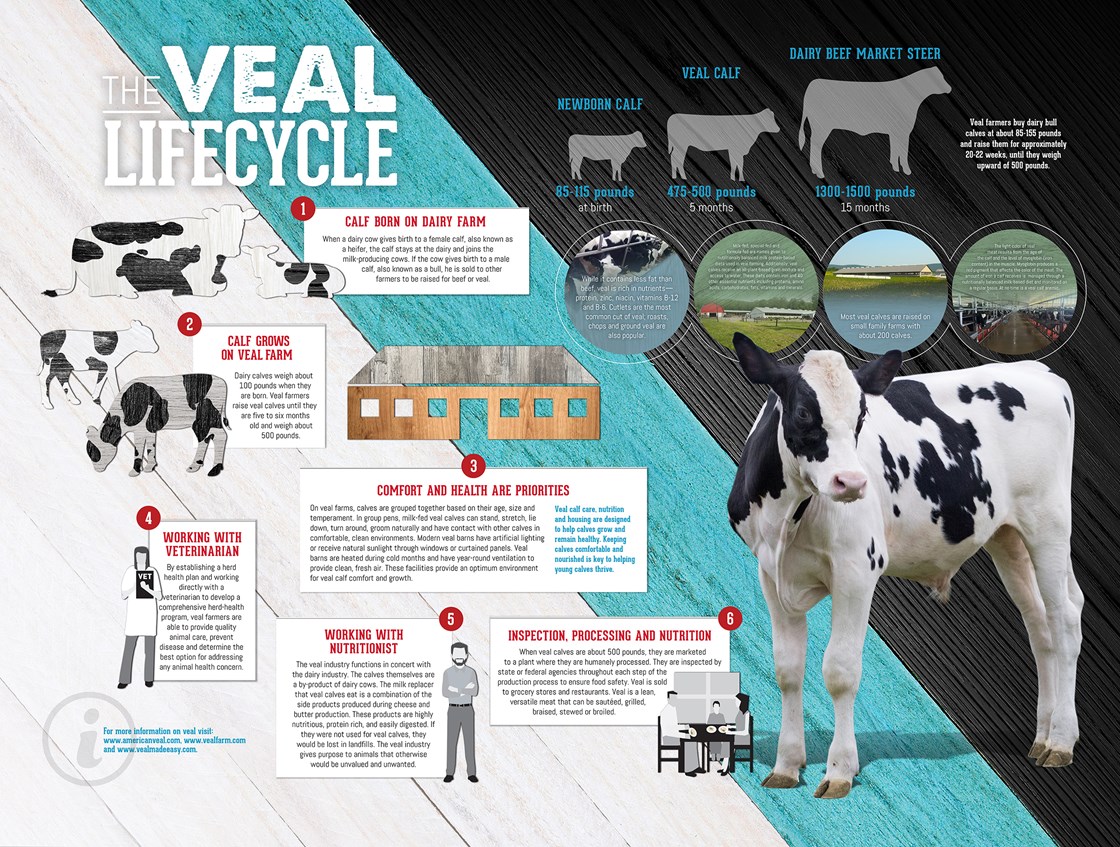 Veal