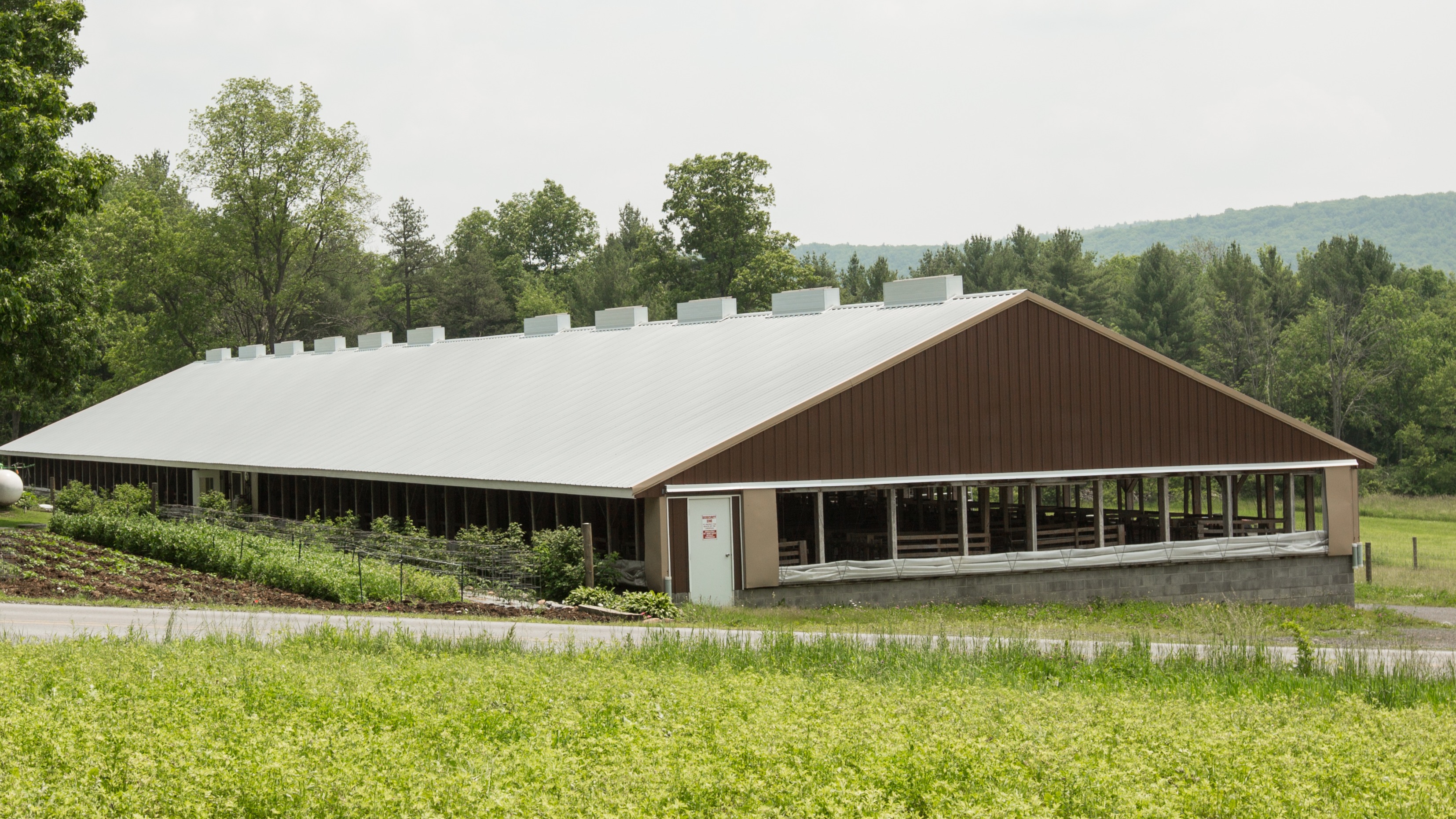 PA Veal Barn