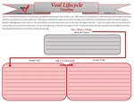 Veal Timeline